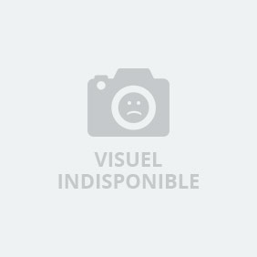 Visuel pour Guide lame de scie gauche Scie à ruban à métal BS275GP - 10002472 indisponible